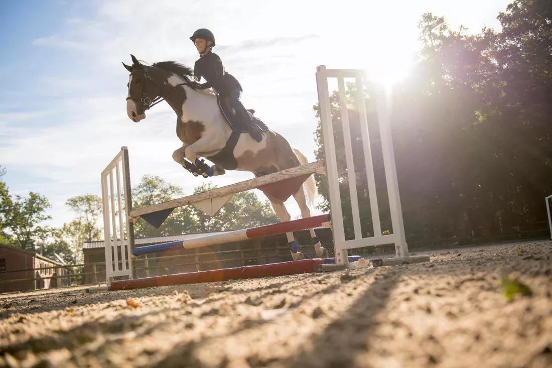 BLACK 500 Adult Synthetic Horse Riding Jodhpur Boots, No Color, large image number 11