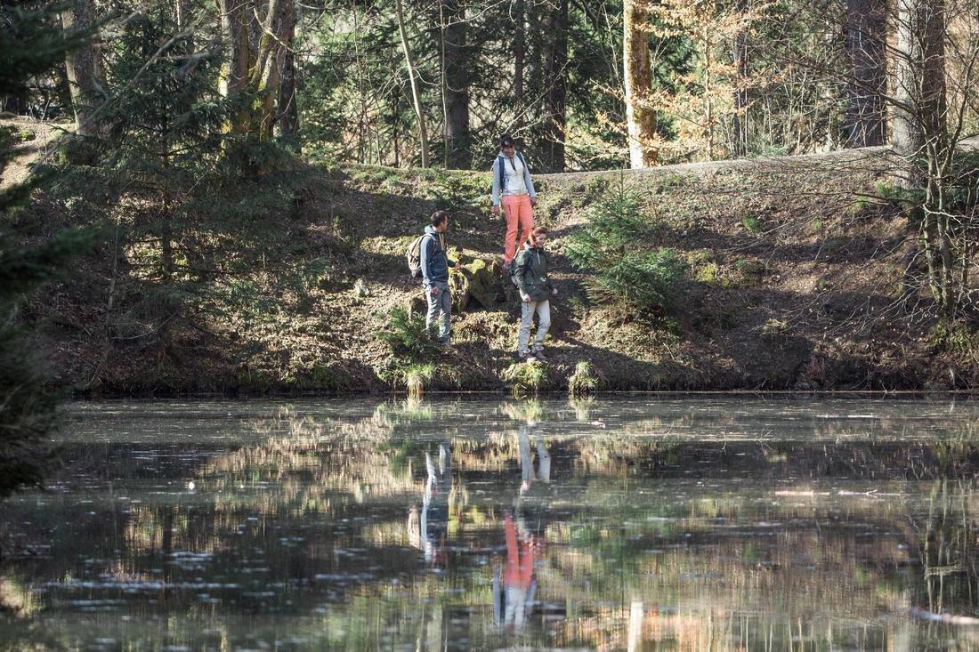 Womens Hiking Hooded Sweatshirt - Nh100 Hybrid, Pewter, No Color, large image number 12