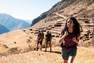 FORCLAZ - Womens Trekking Travel Shorts Travel100 , Khaki Grey