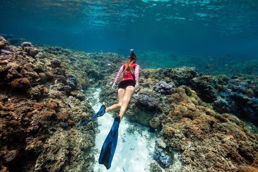 Scd 500 Scuba Diving Fins, Deep Navy Blue, No Color, large image number 10