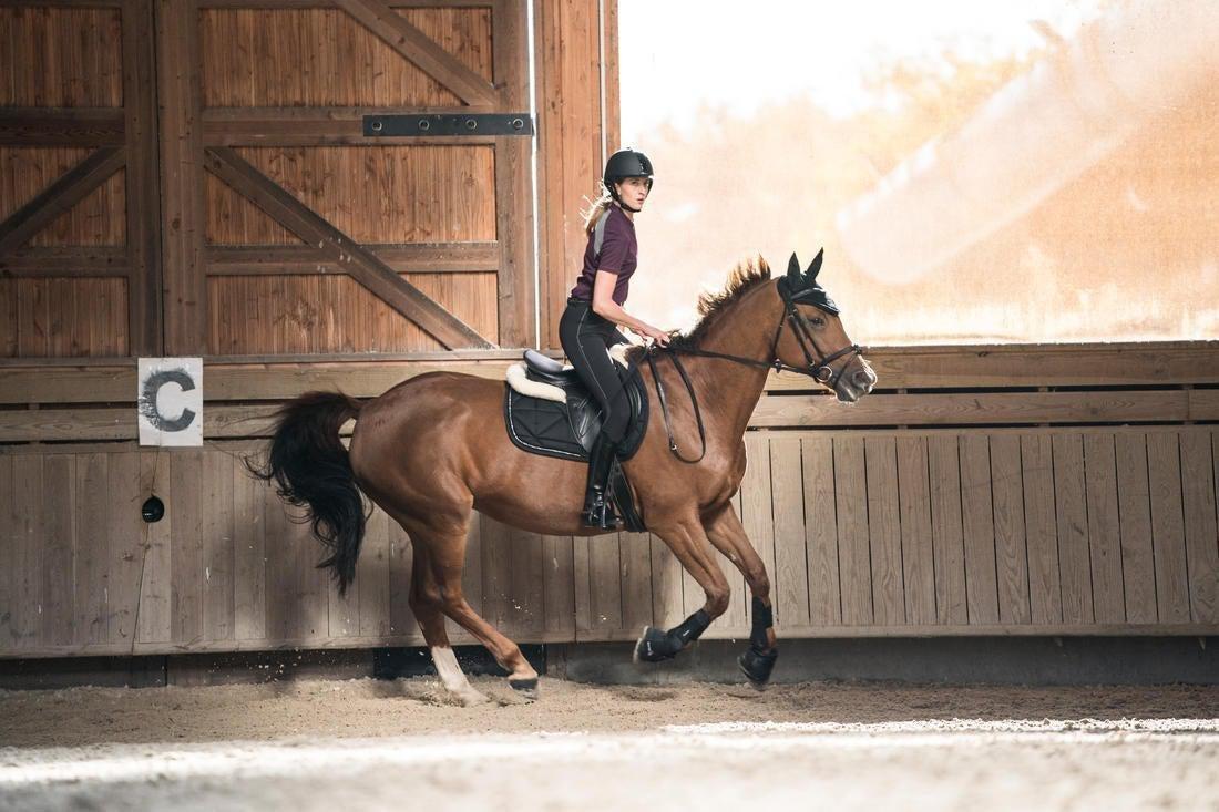 500 MeshWomens Lightweight Horse Riding Jodhpurs, Black, , large image number 13