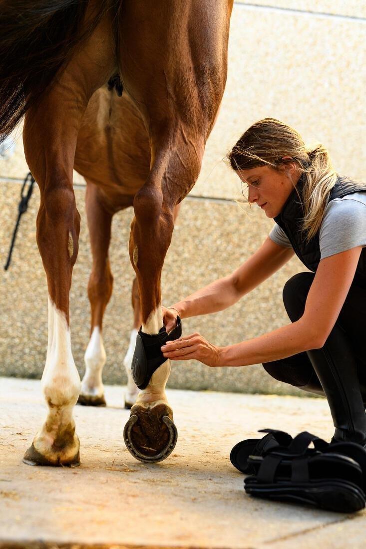 Fetlock Boots For Horses 500 Twin-Pack, Black, , large image number 3