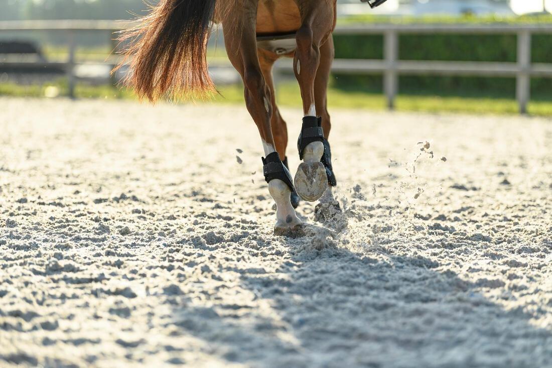 Fetlock Boots For Horses 500 Twin-Pack, Black, 5401_000, large image number 4