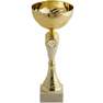 WORKSHOP - C519 Trophy, Gold