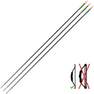 GEOLOGIC - Carbon Arrows Tri-Pack Discovery 300, Black