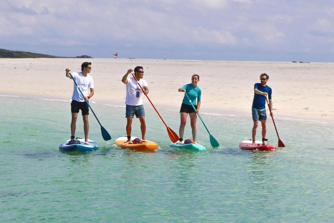 100 Adjustable Split Stand-Up Paddle (SUP) Paddle, Blood Orange, No Color, large image number 11