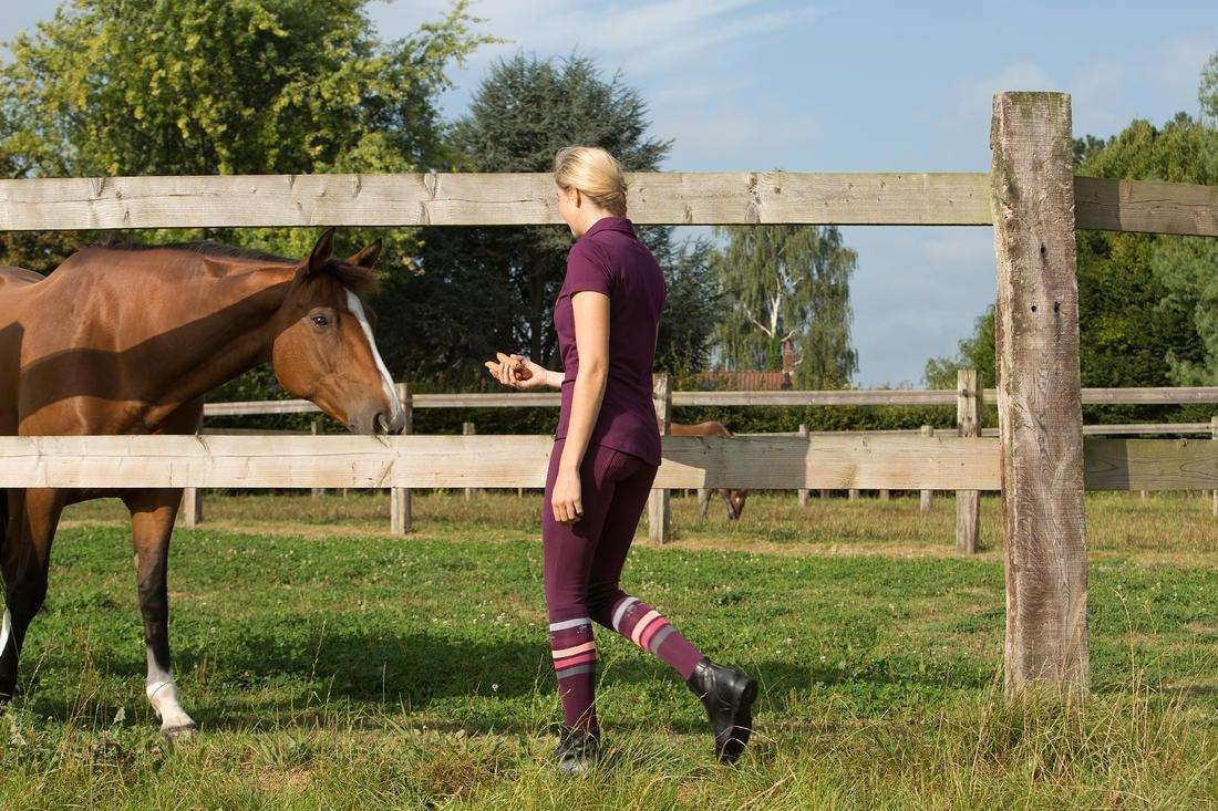 Basic Adult Riding Socks 1 Pair, Blue, 5401_000, large image number 11