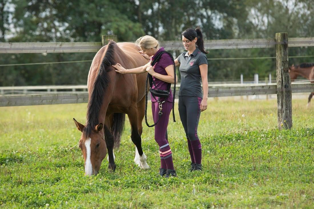 Basic Adult Riding Socks 1 Pair, Blue, 5401_000, large image number 14