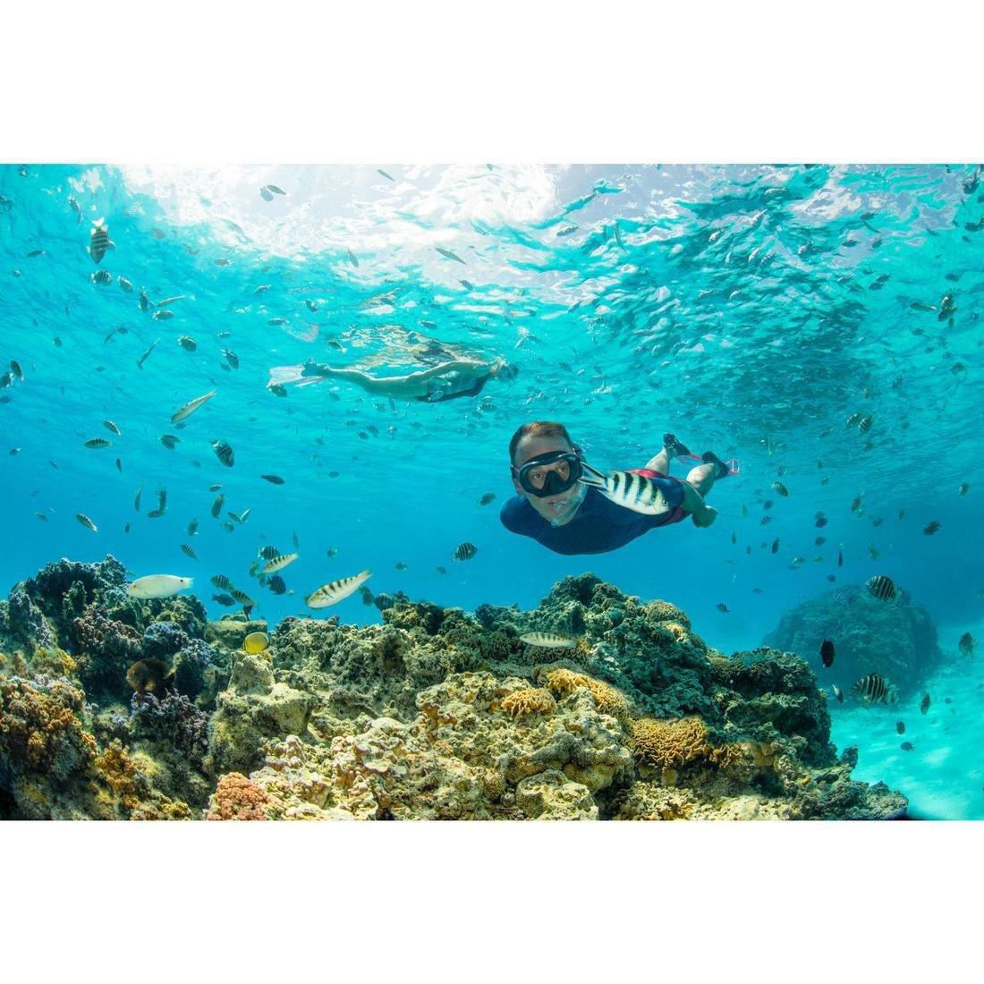 Adult Tempe Glass Snorkelling Mask SNK 520 Hazy, Storm Grey, No Color, large image number 3