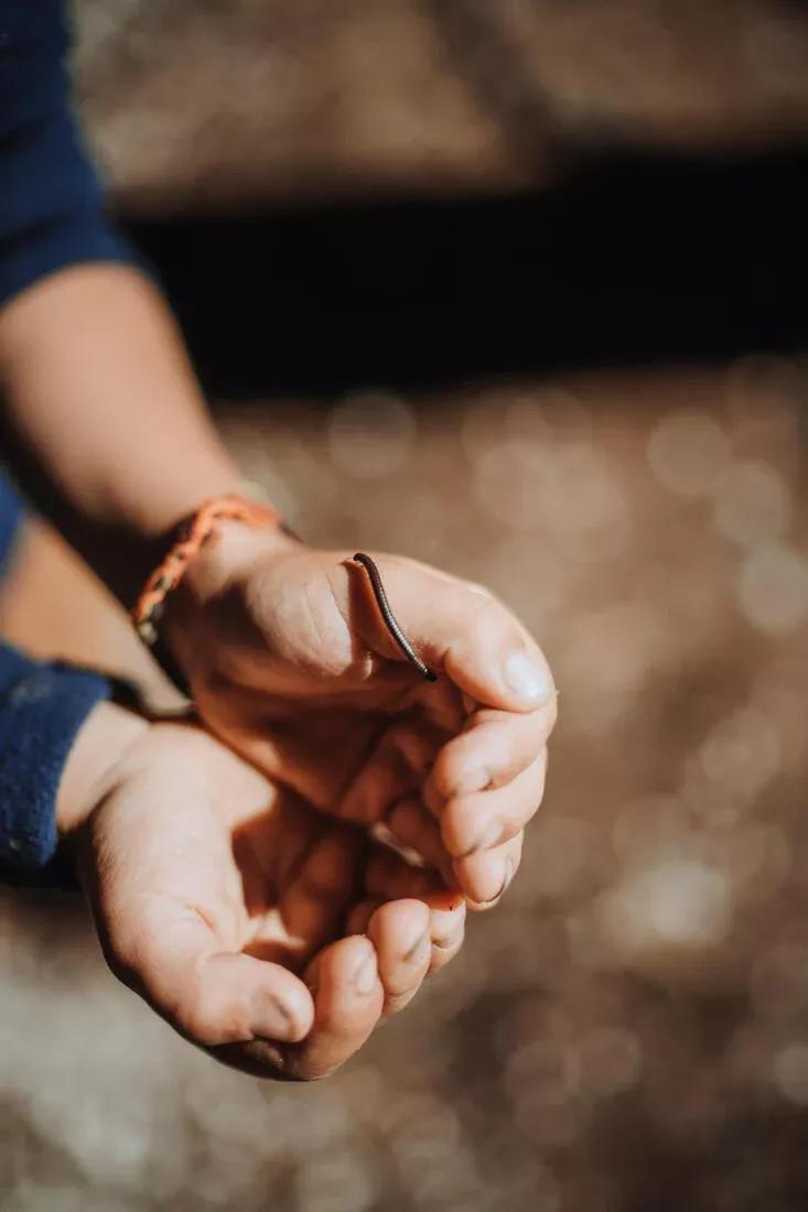 NAVY BLUE Kids' Hiking Fleece 2-6 Years MH100 Half Zip, No Color, large image number 13