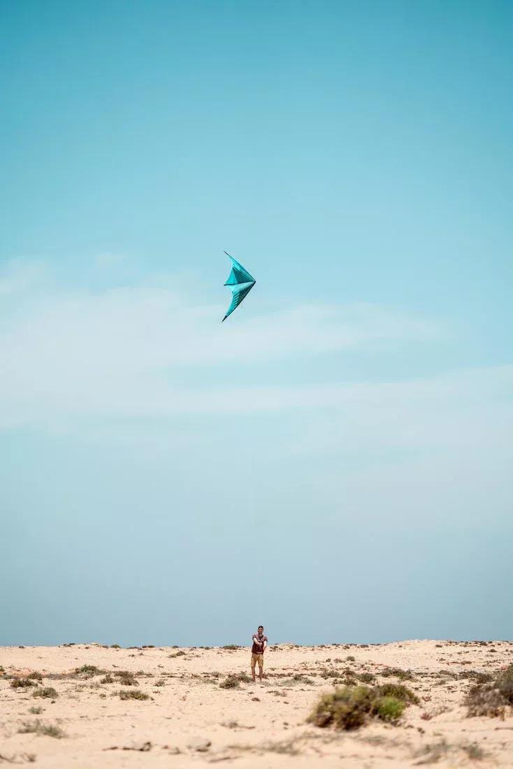 Versatile Stunt Kite - Fyf 500, Blue, No Color, large image number 13