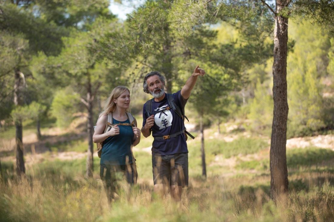 Women Country Walking Vest Top - NH500, Blue, No Color, large image number 13