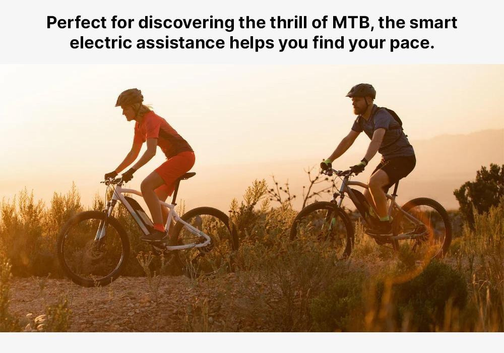 27.5 Hardtail Electric Mountain Bike - E-ST 100, Blue, No Color, large image number 19