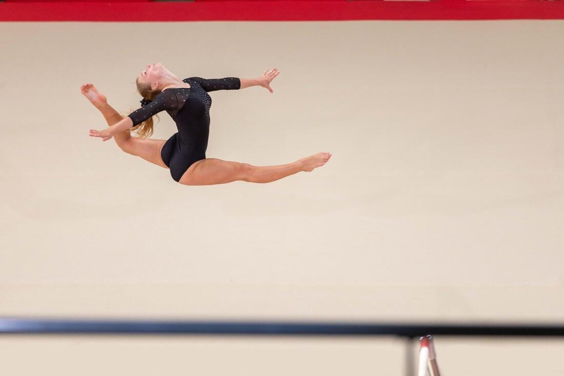 Kids Girls Artistic Gymnastics 3/4-Sleeve Leotard, Blue, No Color, large image number 5