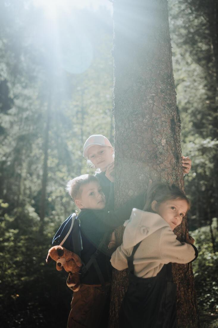 Kids' Hiking Backpack MH100, Navy Blue, No Color, large image number 13