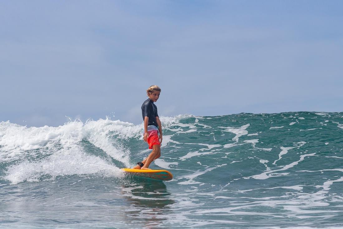 Tween BS 500L - LOTS, Orange, No Color, large image number 12