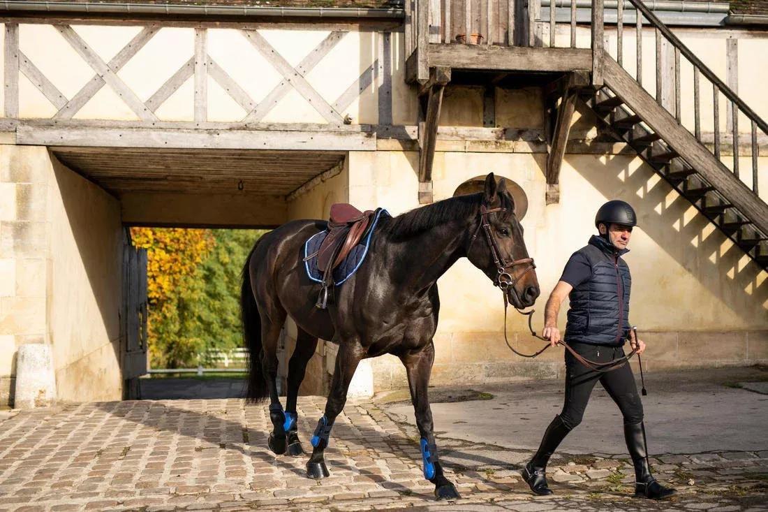 Adult And Kids Horse Riding Helmet - 520, Black, No Color, large image number 5