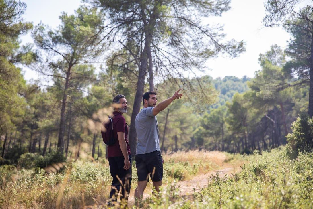 Techtil 100 Short-Sleeved Hiking T-Shirt - Mottled, Hazelnut, No Color, large image number 10