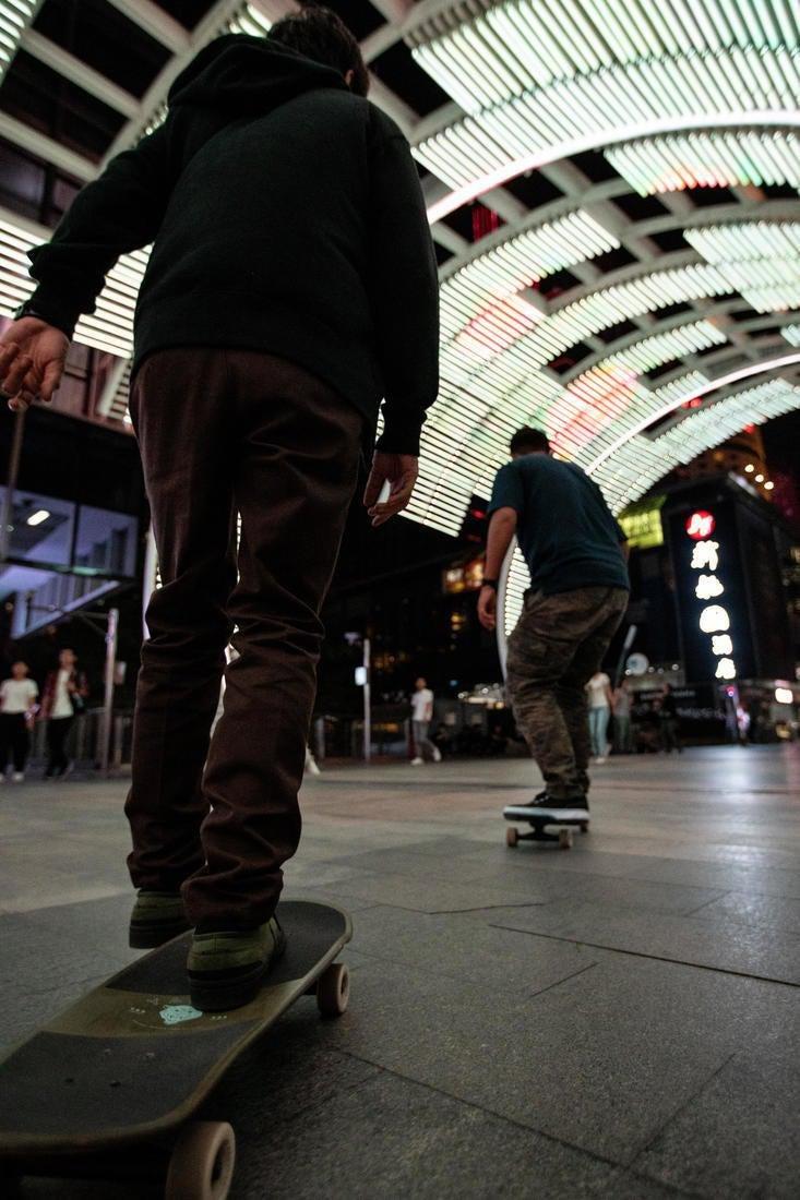 Cruiser Yamba 900, Palm, No Color, large image number 14