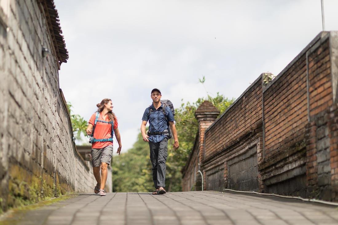 Men's  Trekking Trousers - Travel 100, Brown, No Color, large image number 13