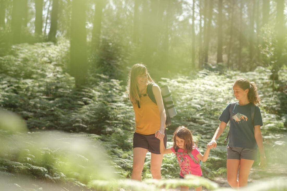 Women's Country Walking Shorts Nh500 Regular, Black, No Color, medium