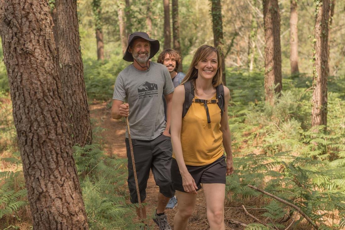 Women's Country Walking Shorts Nh500 Regular, Black, No Color, medium