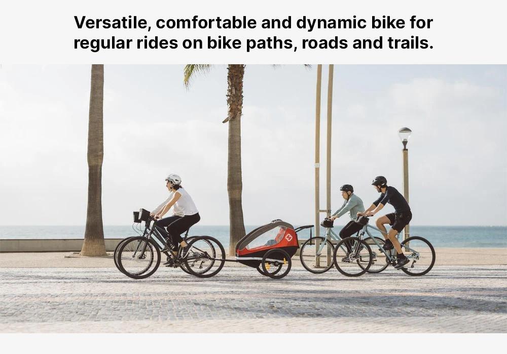 Hybrid Bike Riverside 500, Light Grey, , large image number 19