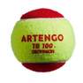 ARTENGO - Tennis Ball Tb100, Red