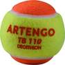 ARTENGO - Tennis Balls Tb110, Orange