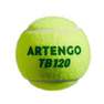 ARTENGO - Tennis Ball Tb120*3, Green