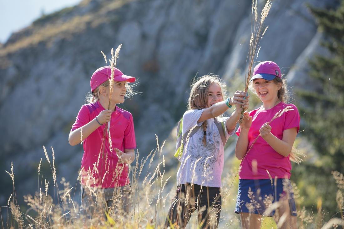 Kids Hike 100 Hiking T-Shirt, Pink, No Color, large image number 11