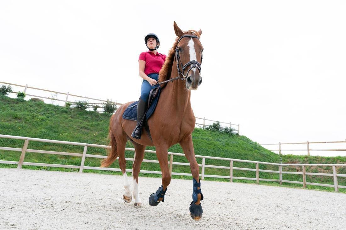 Horse Riding Short-Sleeved Polo Shirt - 100, Black, No Color, large image number 14