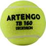 ARTENGO - Tennis Ball Tb160 Tri-Pack - Yellow