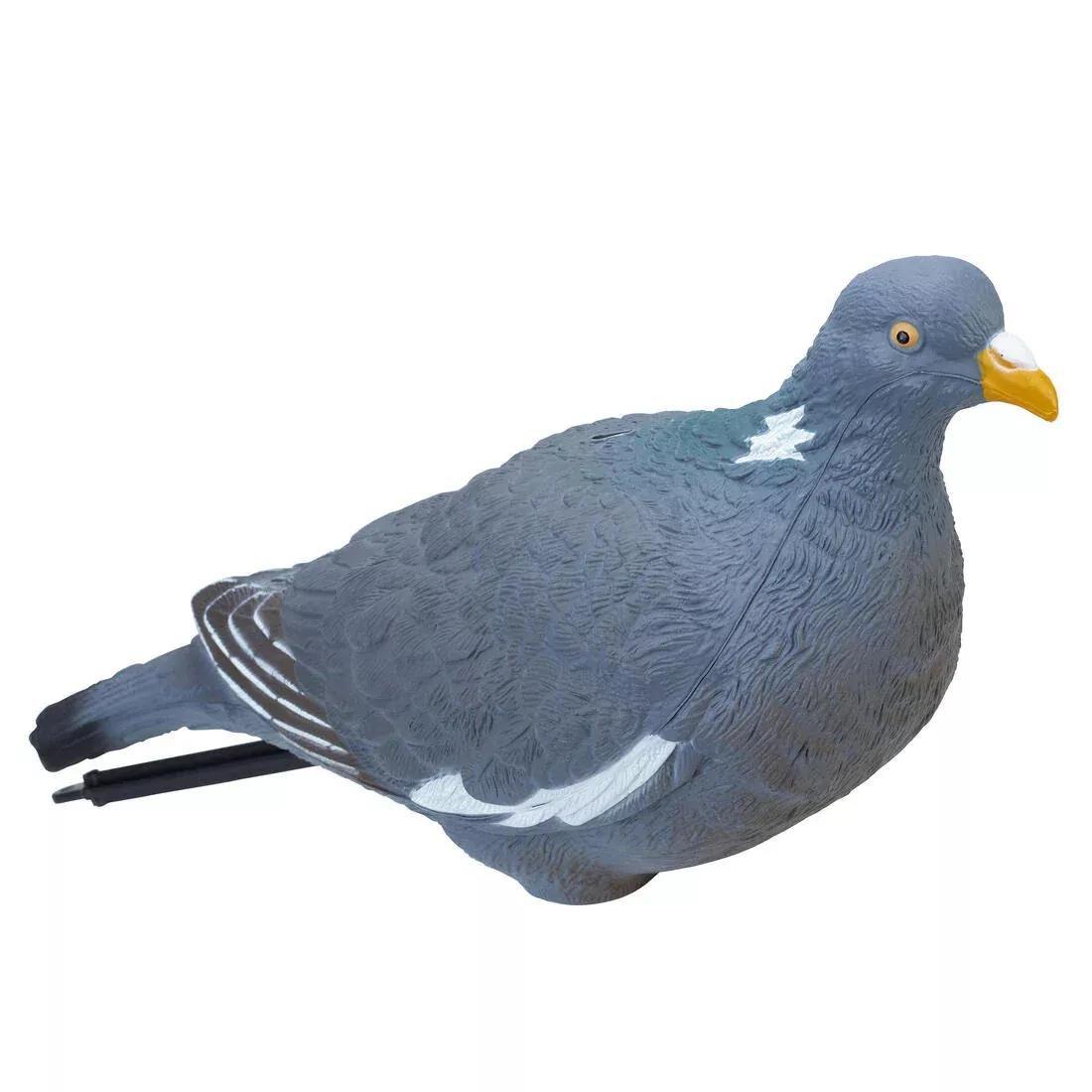 SOLOGNAC--FORME PIGEON 3D MIG5 00, 5401_000, large image number 0