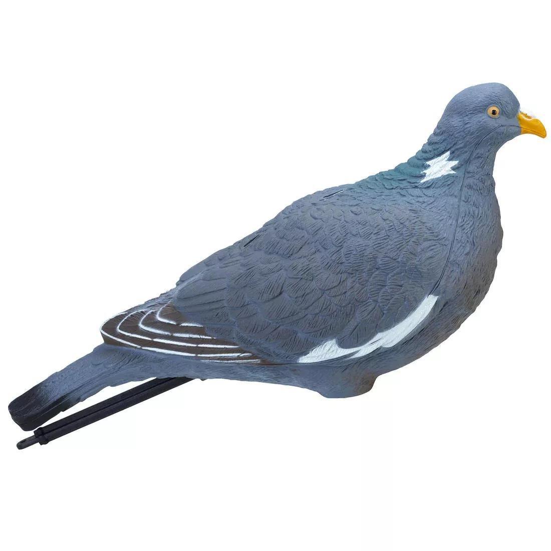 SOLOGNAC--FORME PIGEON 3D MIG5 00, 5401_000, large image number 3