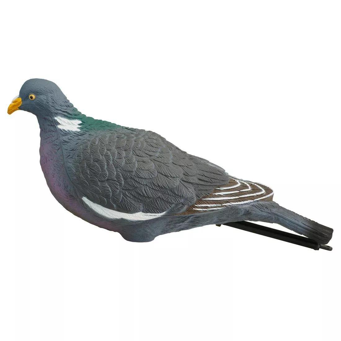 SOLOGNAC--FORME PIGEON 3D MIG5 00, 5401_000, large image number 5