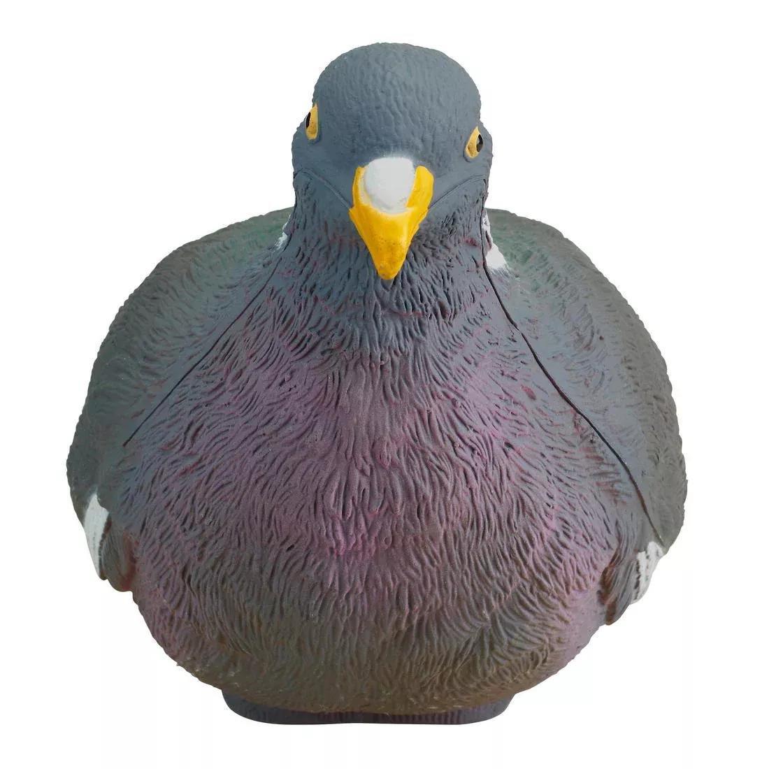 SOLOGNAC--FORME PIGEON 3D MIG5 00, 5401_000, large image number 6