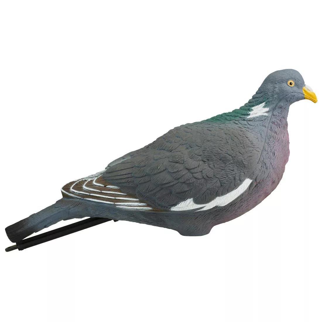 SOLOGNAC--FORME PIGEON 3D MIG5 00, 5401_000, large image number 8