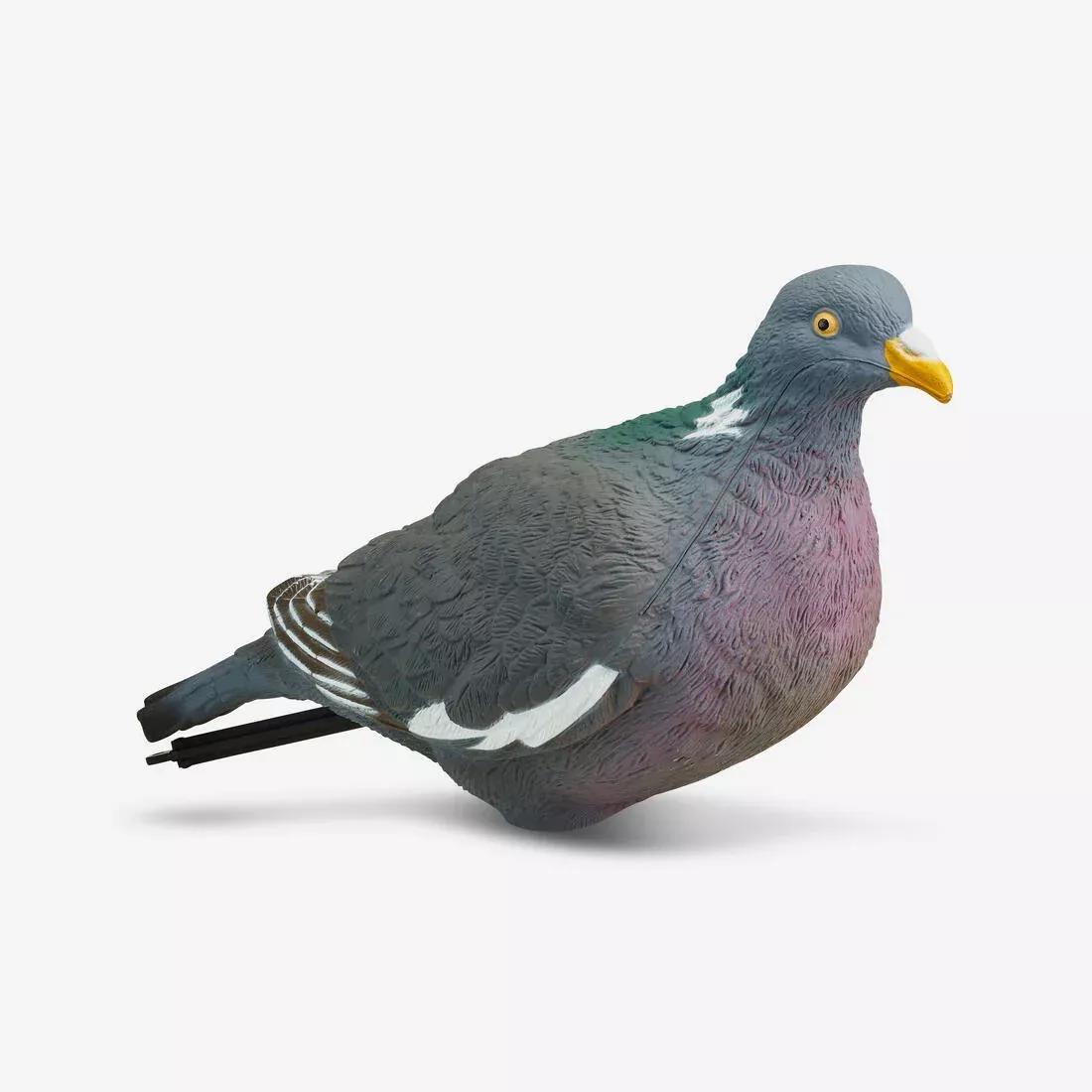 SOLOGNAC--FORME PIGEON 3D MIG5 00, 5401_000, large image number 9