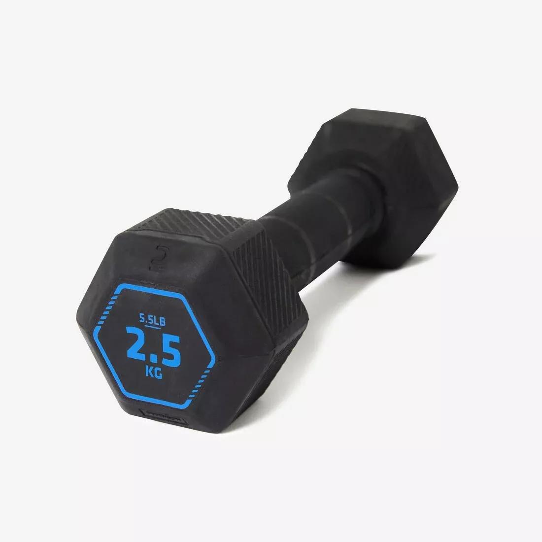 2.5 Kg Cross Training And Weight Training Hexagonal Dumbbell, Black, No Color, large image number 0