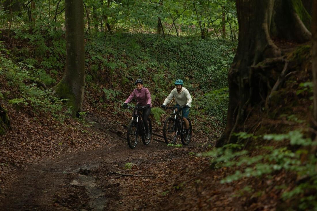 29 Inch Touring Mountain Bike Explore 520, Grey, No Color, large image number 13