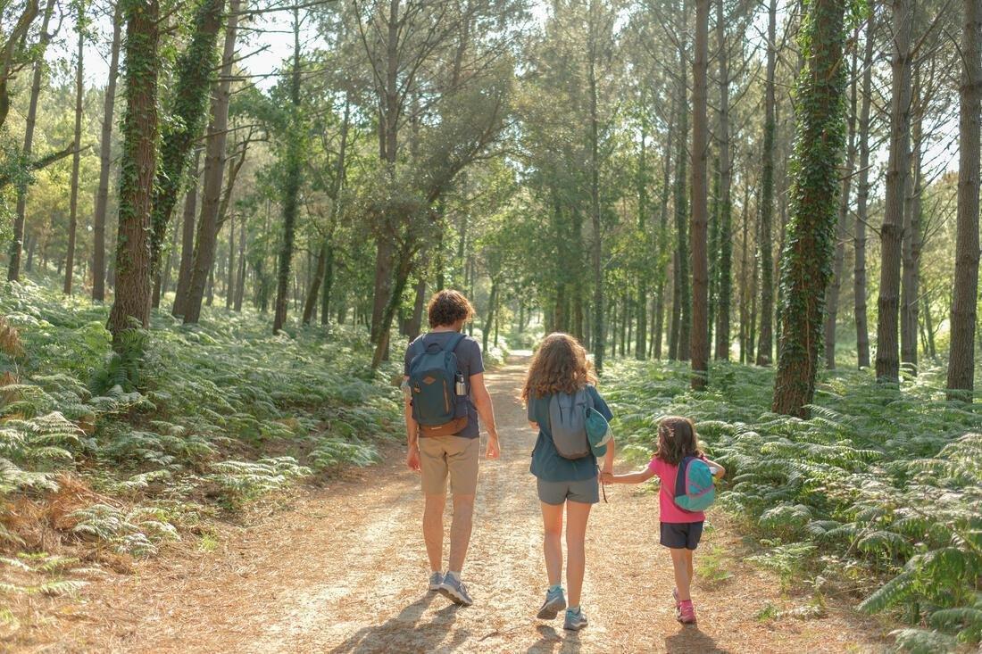 Country Walking Backpack - Nh500 - , Green Grey, No Color, large image number 9