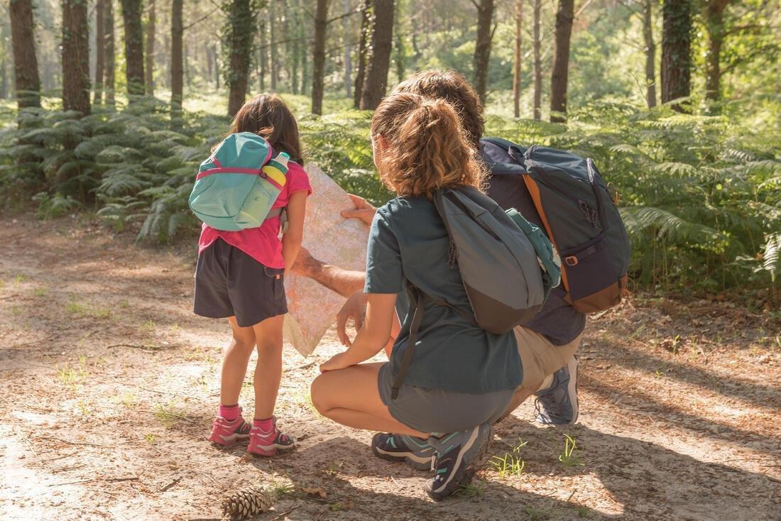 Country Walking Backpack - Nh500 - , Green Grey, No Color, large image number 10