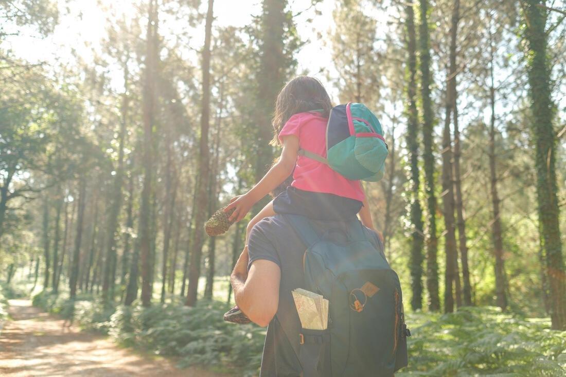 Country Walking Backpack - Nh500 - , Green Grey, No Color, large image number 12