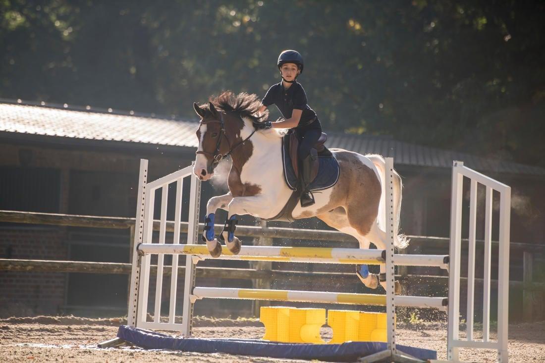 140 Boys' Horse Riding Short-Sleeved Polo Shirt, Asphalt Blue, No Color, large image number 13
