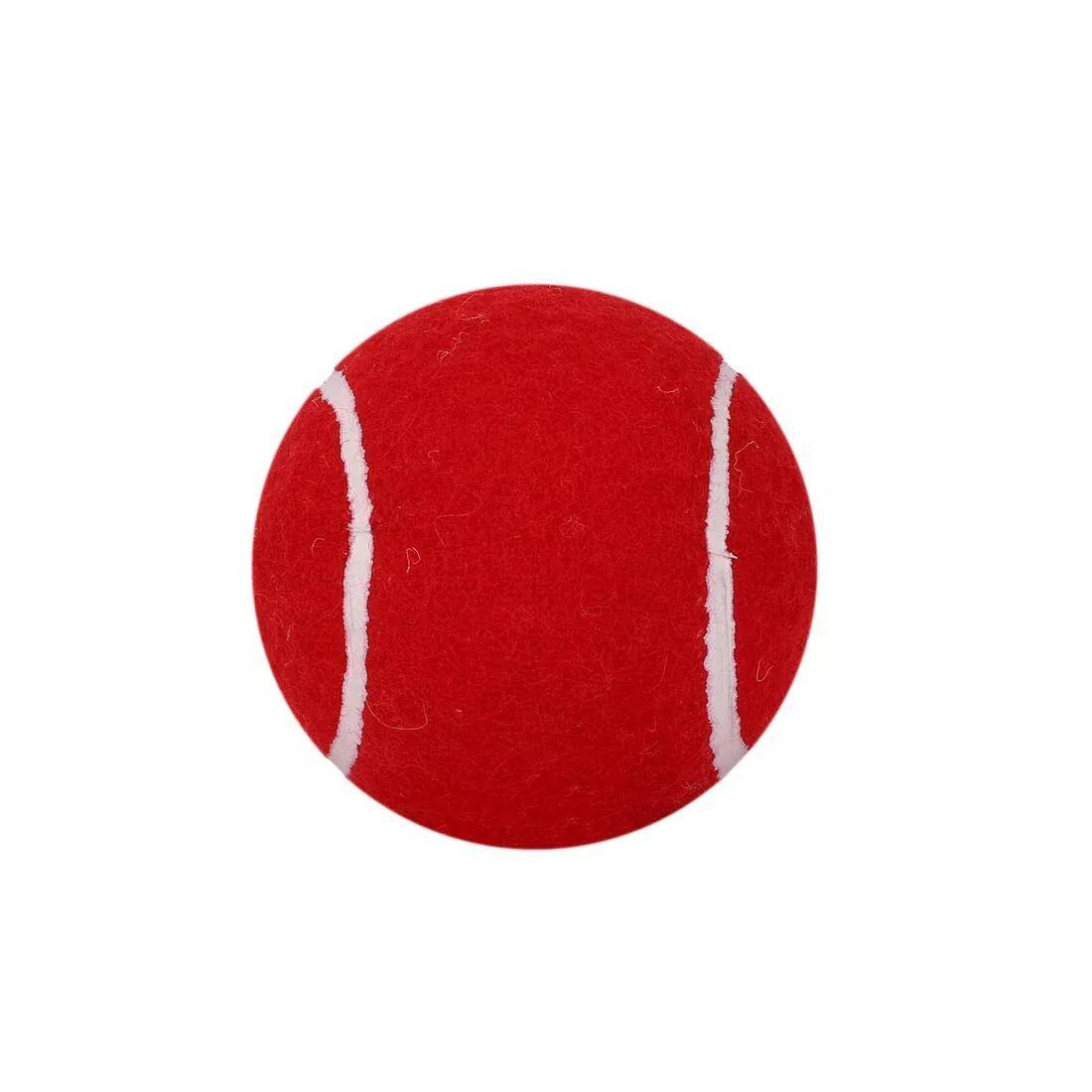 Tb Hard Cricket Tennis Ball, Red, No Color, large image number 6