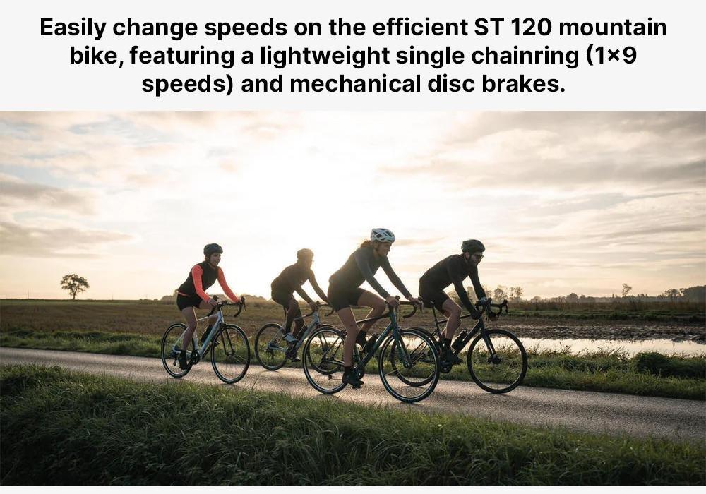 Mountain Bike, Grey, No Color, medium