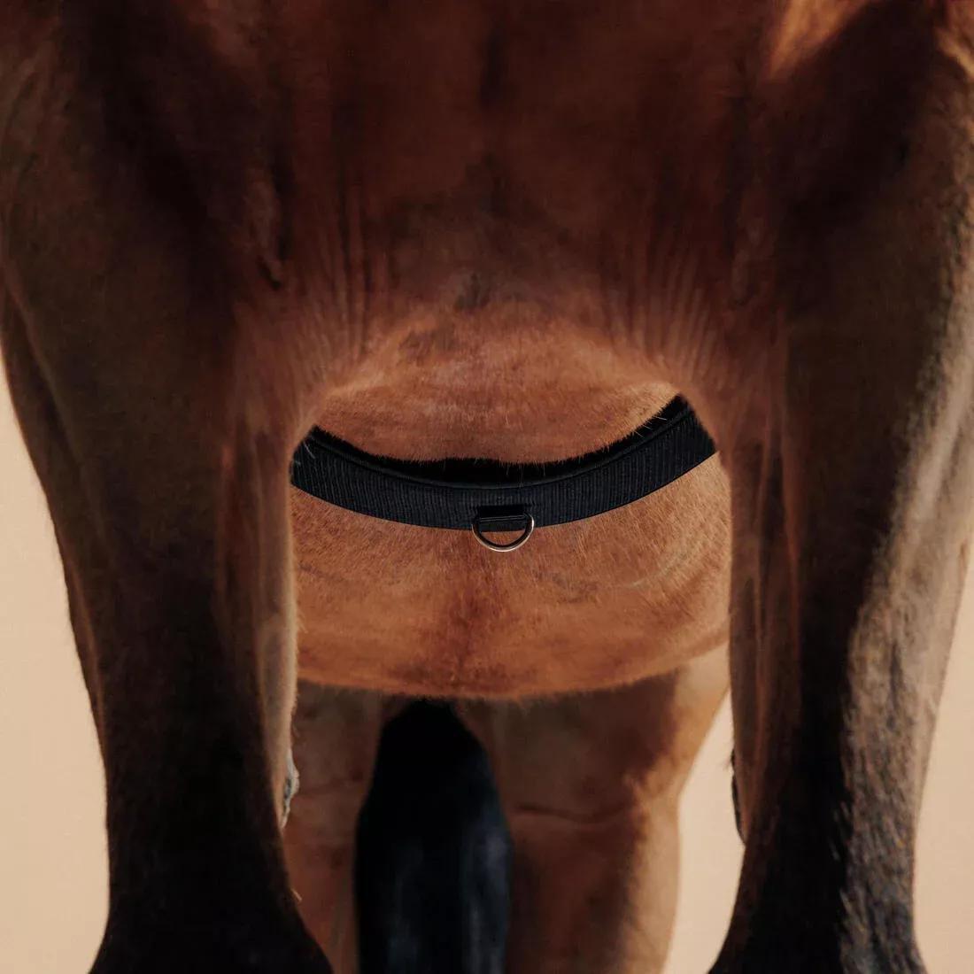 Horse Riding Horse Or Pony Lunging Roller, Black, 5401_000, large image number 4