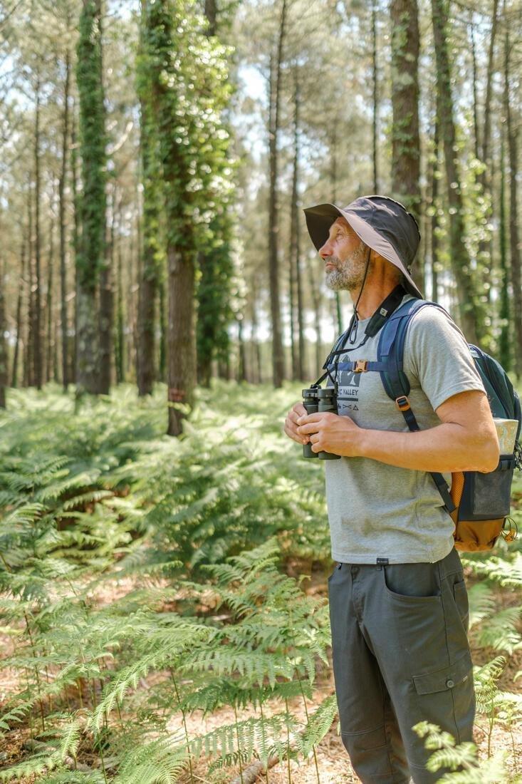 Men's Country Walking Bermuda Shorts - Nh500 Fresh, Carbon Grey, No Color, large image number 8