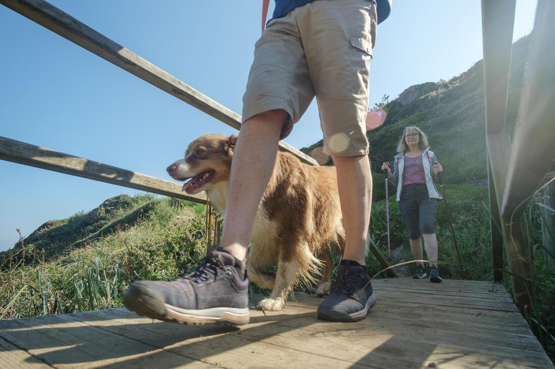 Men's  Country Walking Bermuda Shorts - Nh500 Fresh, Iced Coffee, No Color, medium